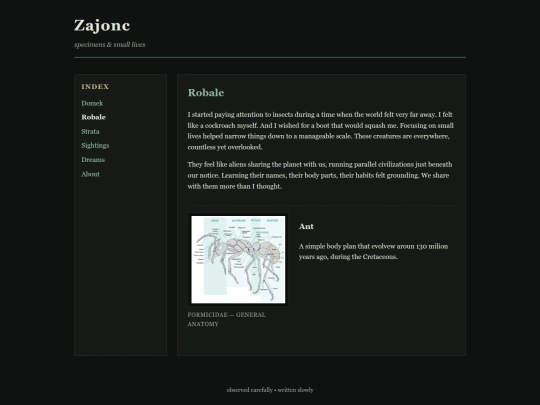 robale screenshot