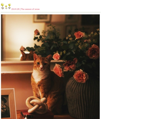 blog/2025/01 screenshot