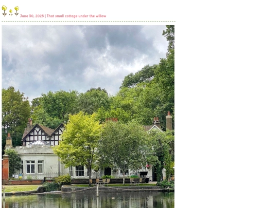 blog/2025/06 screenshot