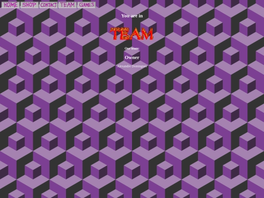 TEAM screenshot