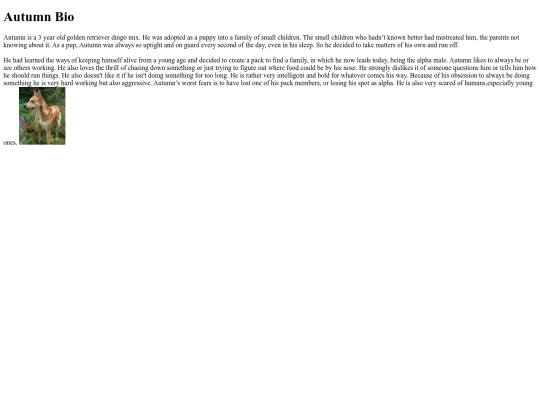 Test screenshot