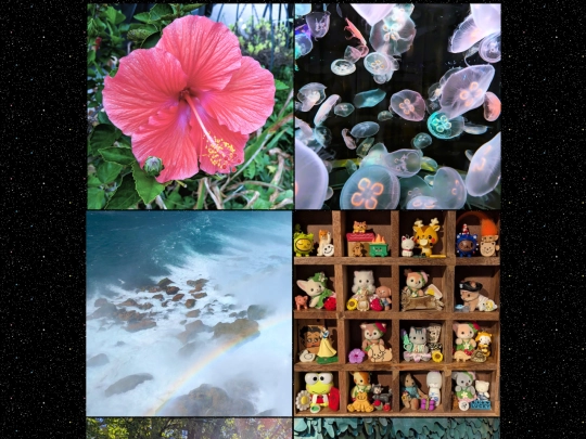photos screenshot