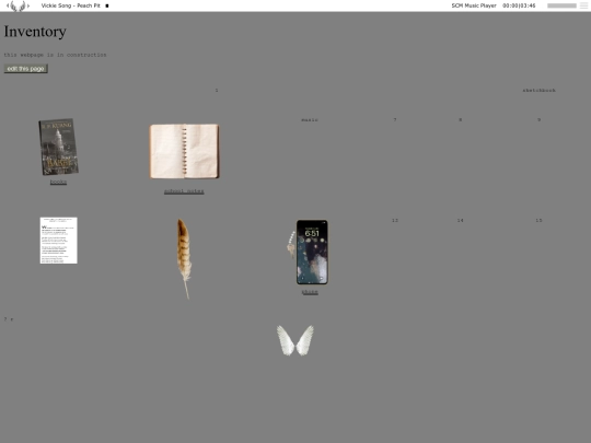 bag screenshot