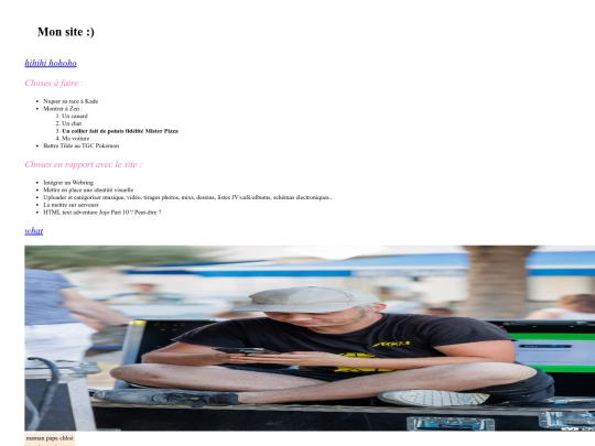 Le site du Bubo screenshot