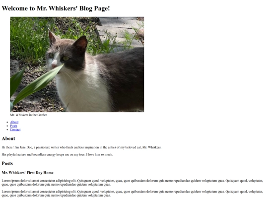 maeco screenshot