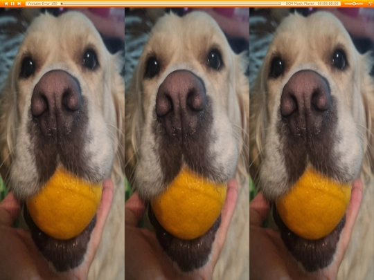 toast screenshot