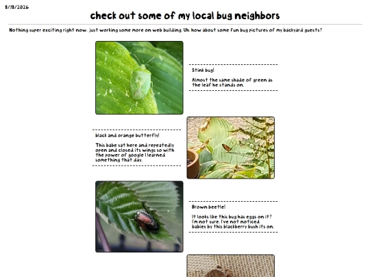 blogposts/Bug Pics screenshot