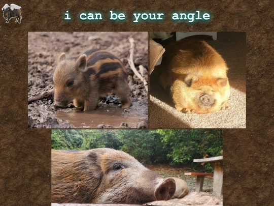 angle screenshot