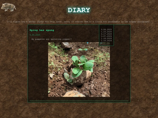 diary screenshot