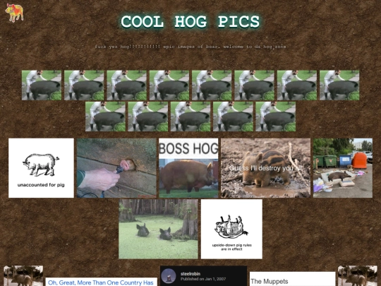 hogzone screenshot