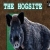 hogsite avatar