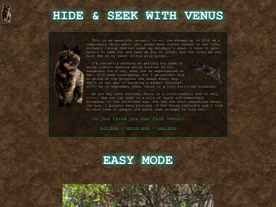 venus screenshot