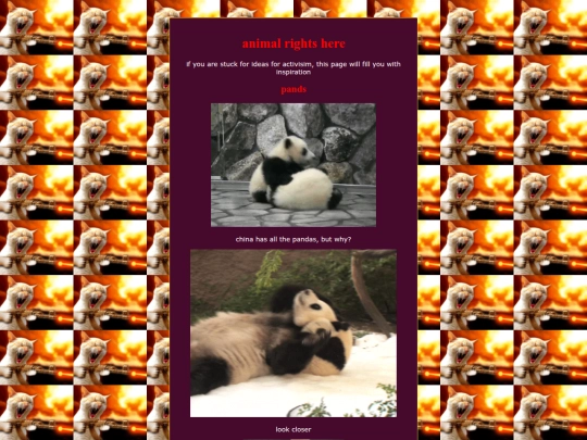 animalrights screenshot