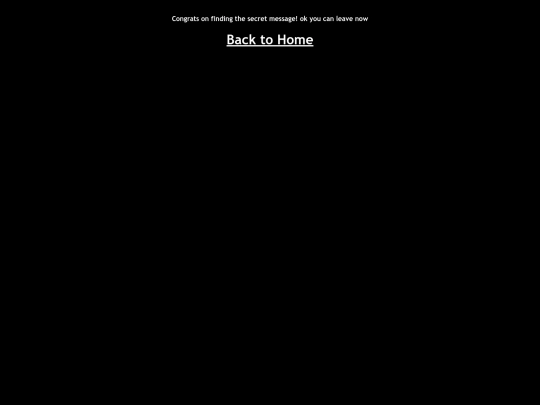 Secret Message screenshot