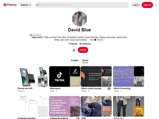 pinterest screenshot