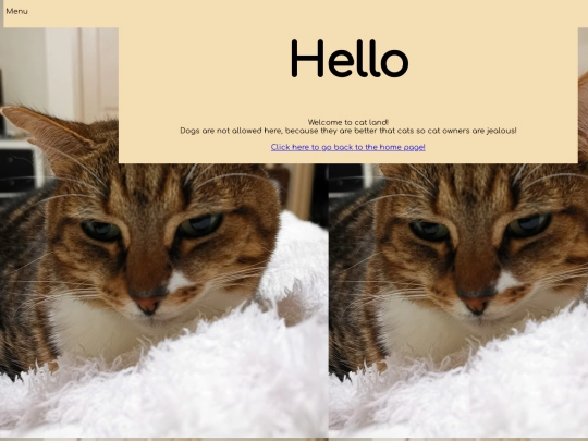 cats screenshot