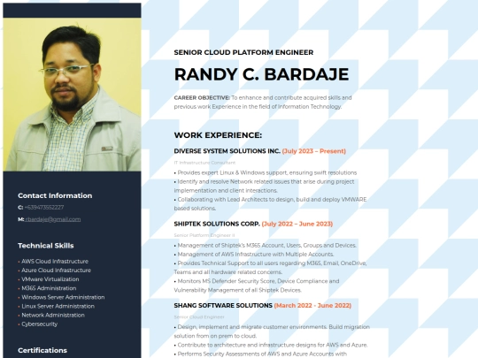 RandyBardaje_CV screenshot