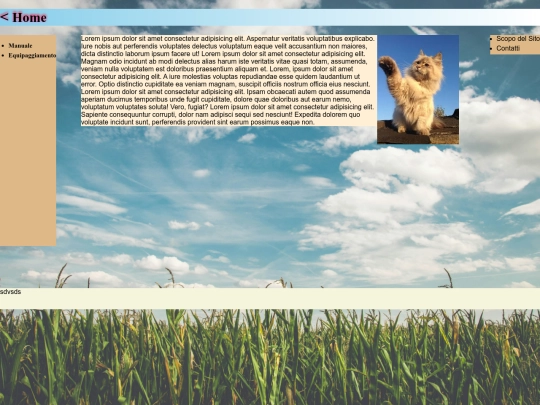 page0 screenshot
