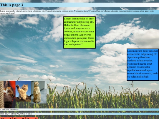 page3 screenshot