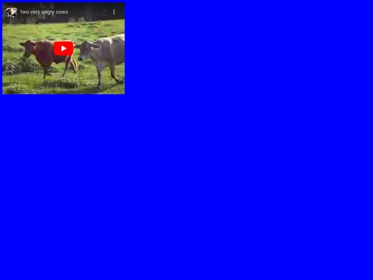 cow screenshot
