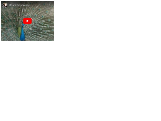 peacock screenshot