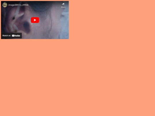 scene1 screenshot