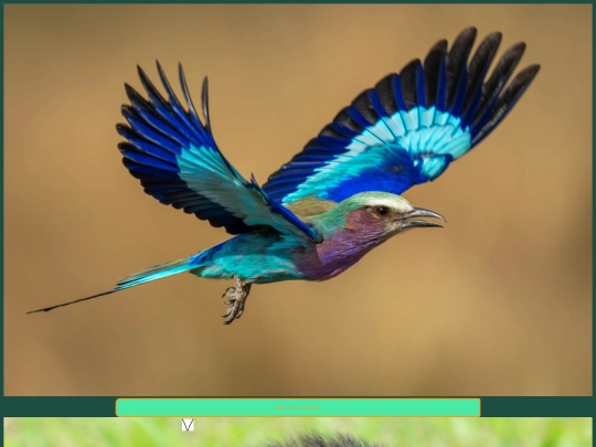 centered screenshot