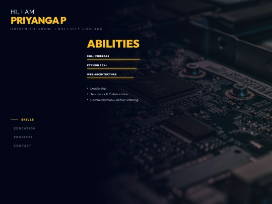 Portfolio/portfolio2 screenshot