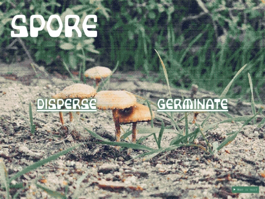 spore screenshot