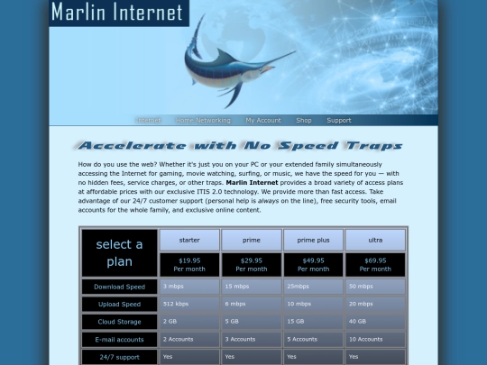 Assignment Case Problem 3—Marlin Internet MCR/mi_pricing_txt screenshot