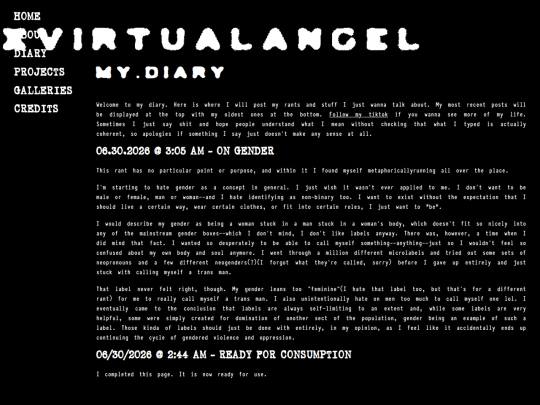 diaries screenshot