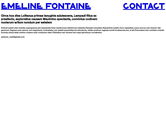 template_portfolio_1/contact screenshot