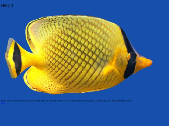 story2 screenshot