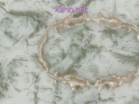 xenonet/rulesandreg screenshot