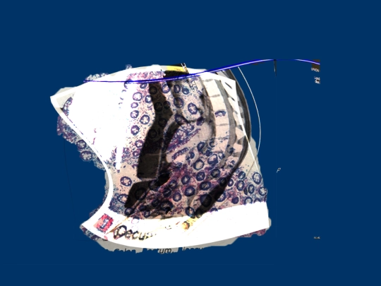 gutFive screenshot