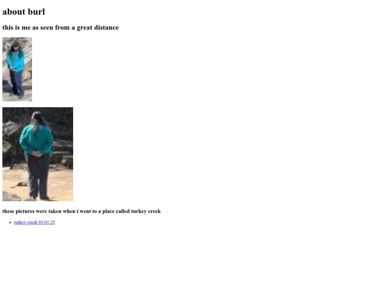 notes/20250302161210-about_burl screenshot