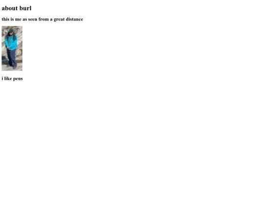notes/20250302161210-about_burl.sync-conflict-20250303-033208-ASBHWPW screenshot