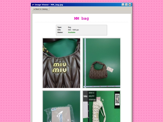 bag4 screenshot