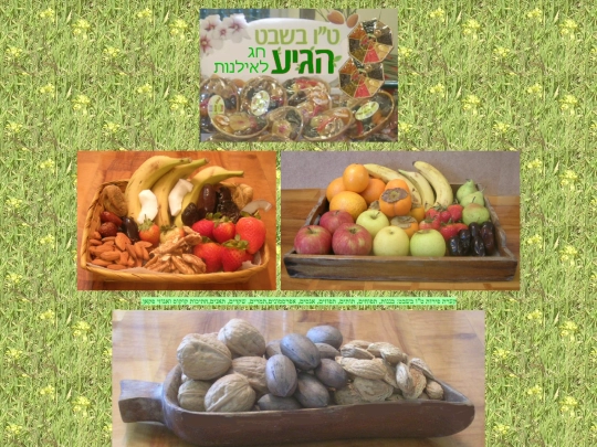 chagim/To-bishvat/To-bishvat screenshot