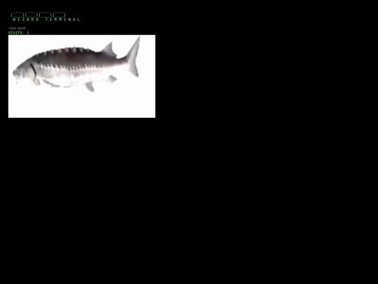 terminal screenshot