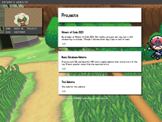projects screenshot