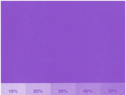 2/05_violet screenshot