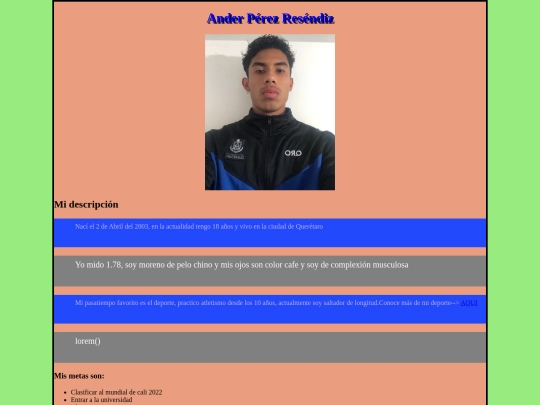 practica1css screenshot