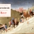yarrowrow.neocities.org avatar