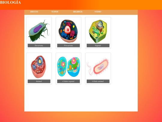 Final Páginas Web/Galeria screenshot