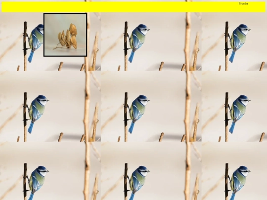 prueba/pr screenshot