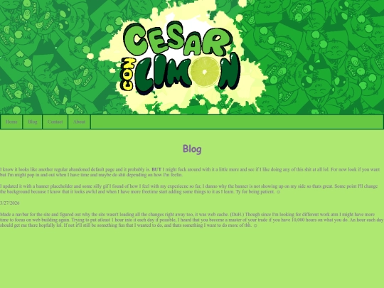 blog screenshot