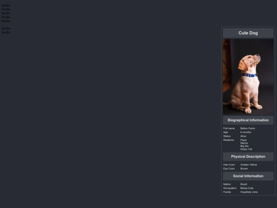 infotest screenshot