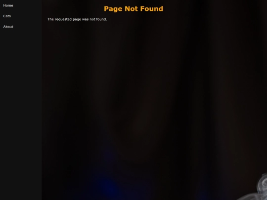 not_found screenshot