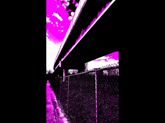bridge screenshot